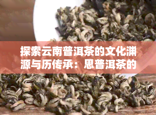 探索云南普洱茶的文化渊源与历传承：思普洱茶的发源地之旅