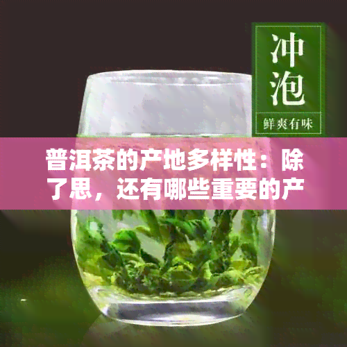 普洱茶的产地多样性：除了思，还有哪些重要的产区？