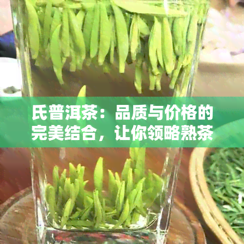 氏普洱茶：品质与价格的完美结合，让你领略熟茶的独特魅力