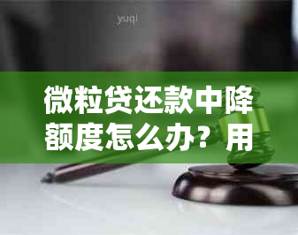 微粒贷还款中降额度怎么办？用户全面解决相关问题的新标题