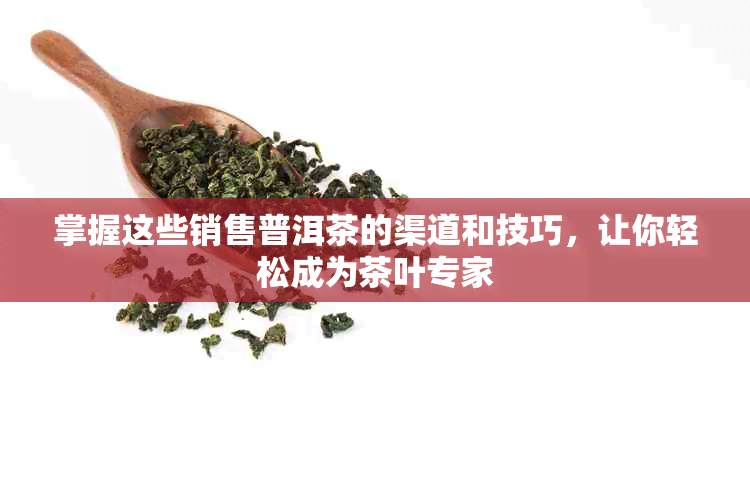 掌握这些销售普洱茶的渠道和技巧，让你轻松成为茶叶专家