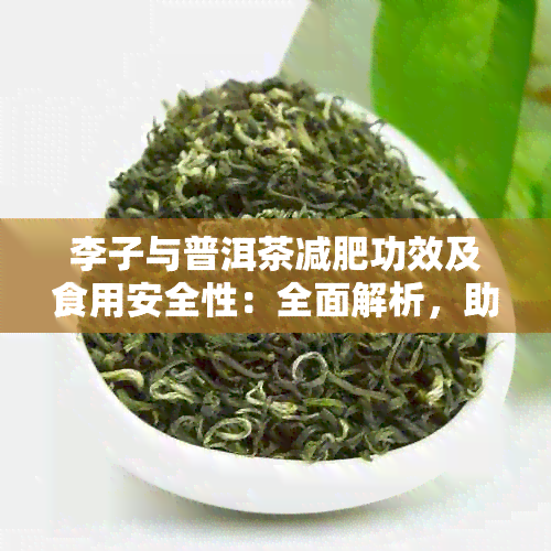 李子与普洱茶减肥功效及食用安全性：全面解析，助您健瘦身