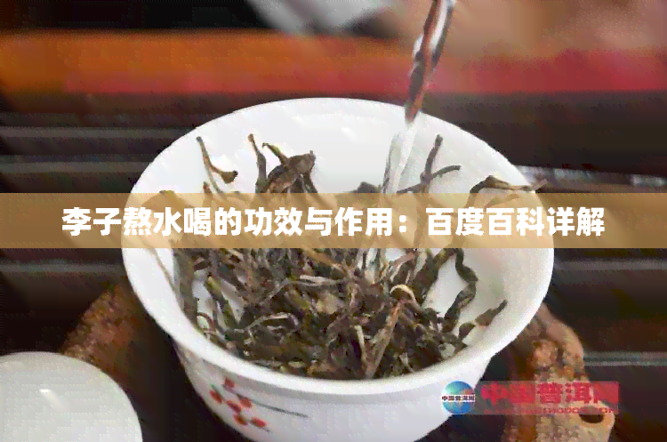 李子熬水喝的功效与作用：百度百科详解