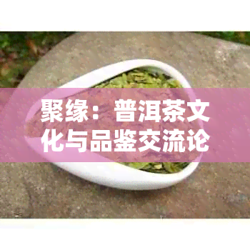 聚缘：普洱茶文化与品鉴交流论坛