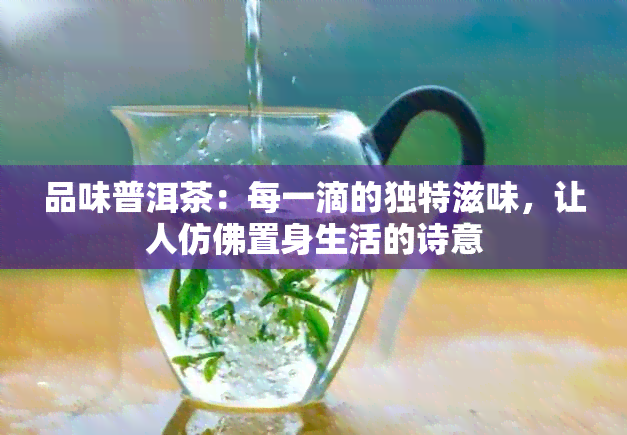 品味普洱茶：每一滴的独特滋味，让人仿佛置身生活的诗意