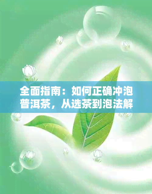 全面指南：如何正确冲泡普洱茶，从选茶到泡法解析，让你品尝到口感！