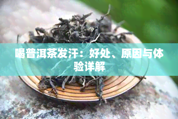 喝普洱茶发汗：好处、原因与体验详解