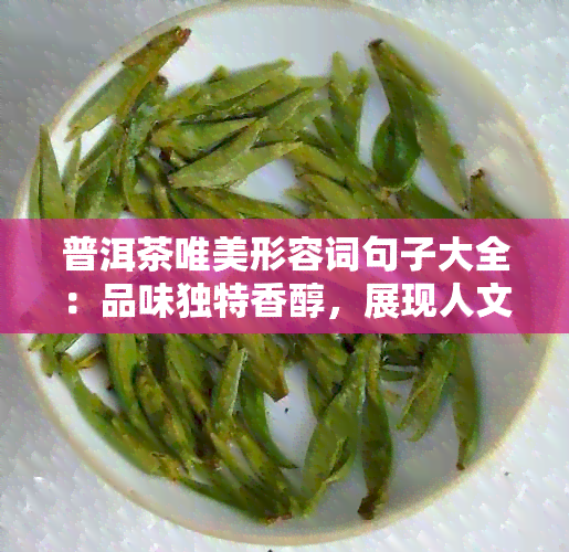 普洱茶唯美形容词句子大全：品味独特香醇，展现人文历与生活哲学