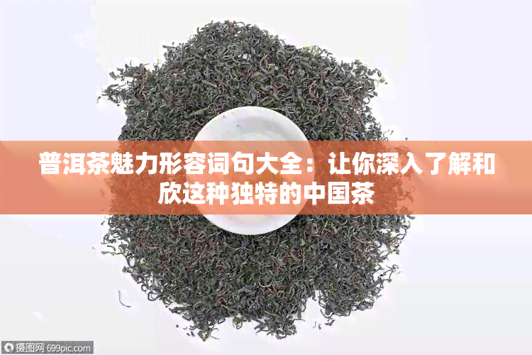 普洱茶魅力形容词句大全：让你深入了解和欣这种独特的中国茶