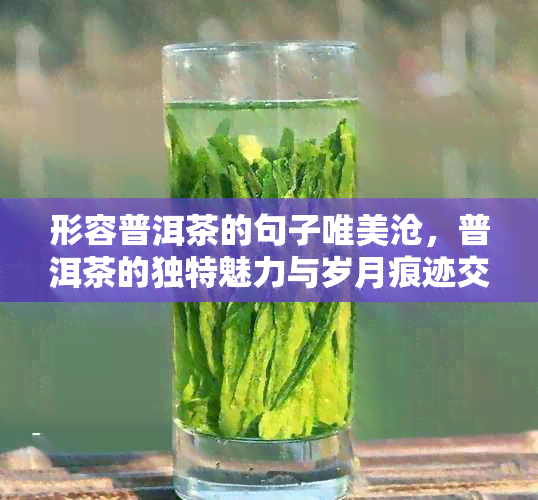 形容普洱茶的句子唯美沧，普洱茶的独特魅力与岁月痕迹交织在一起。