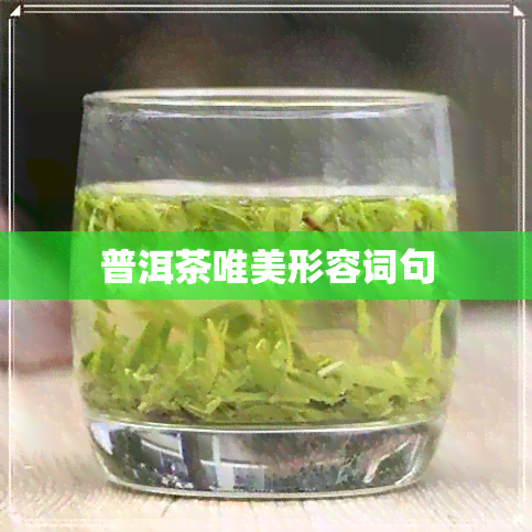 普洱茶唯美形容词句