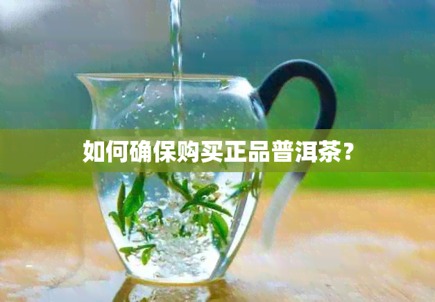 如何确保购买正品普洱茶？