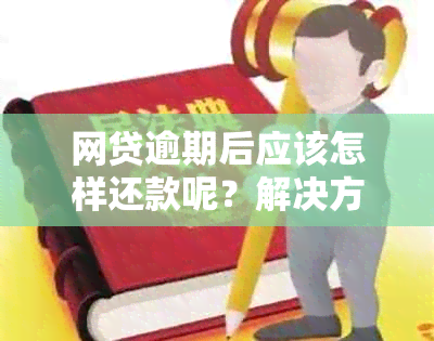 网贷逾期后应该怎样还款呢？解决方法和步骤解析