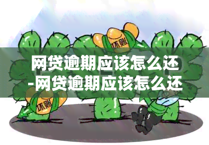 网贷逾期应该怎么还-网贷逾期应该怎么还款