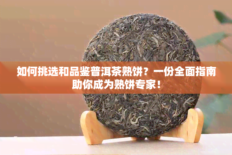 如何挑选和品鉴普洱茶熟饼？一份全面指南助你成为熟饼专家！