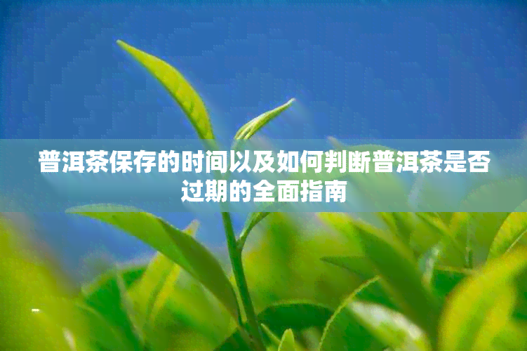 普洱茶保存的时间以及如何判断普洱茶是否过期的全面指南