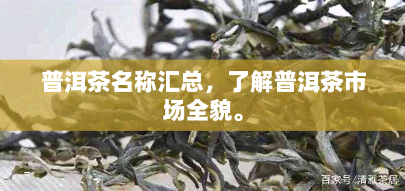 普洱茶名称汇总，了解普洱茶市场全貌。