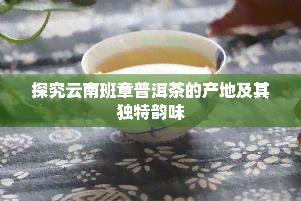 探究云南班章普洱茶的产地及其独特韵味