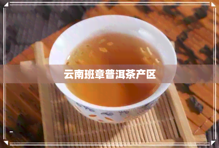 云南班章普洱茶产区