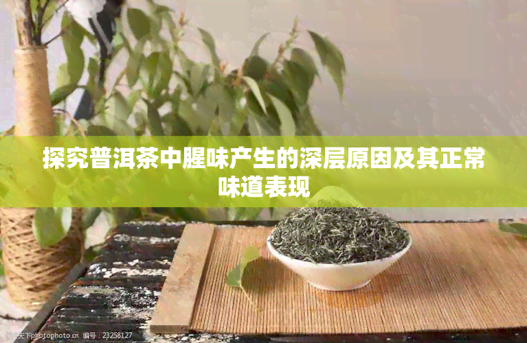 探究普洱茶中腥味产生的深层原因及其正常味道表现