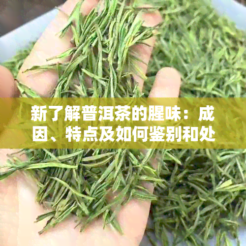 新了解普洱茶的腥味：成因、特点及如何鉴别和处理