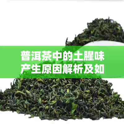 普洱茶中的土腥味产生原因解析及如何解决