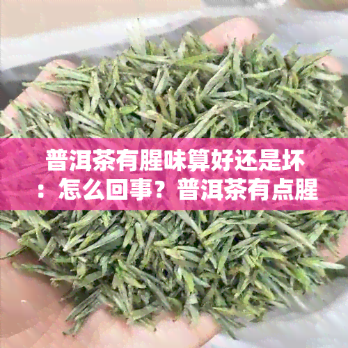 普洱茶有腥味算好还是坏：怎么回事？普洱茶有点腥味是好茶吗？还能喝吗？