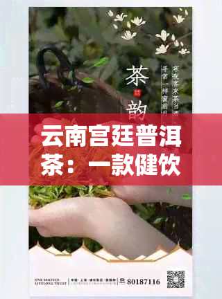 云南宫廷普洱茶：一款健饮品的全方位解读与品鉴