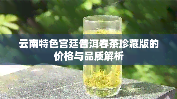 云南特色宫廷普洱春茶珍藏版的价格与品质解析