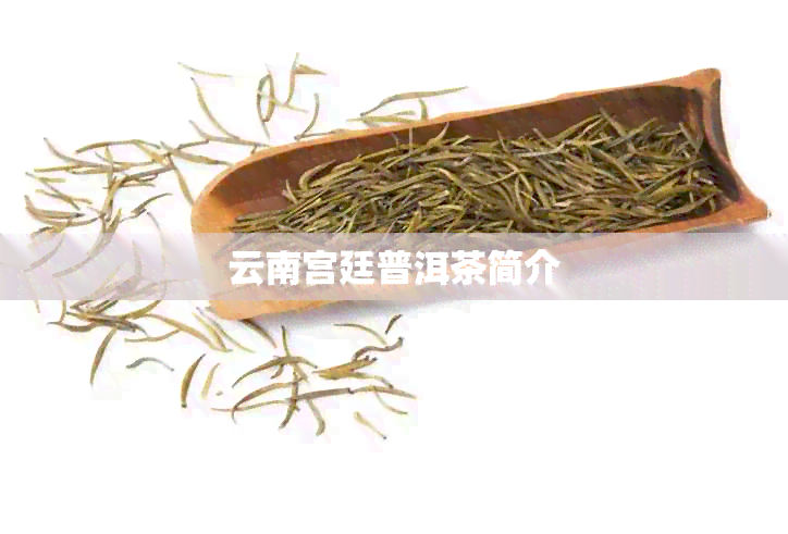 云南宫廷普洱茶简介