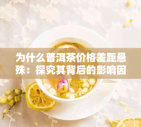 为什么普洱茶价格差距悬殊：探究其背后的影响因素