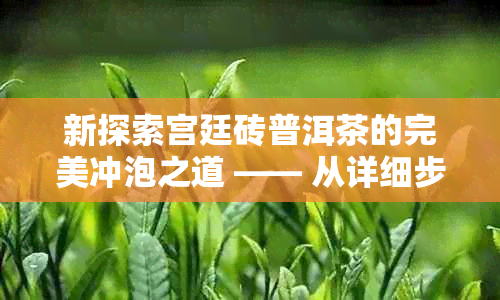 新探索宫廷砖普洱茶的完美冲泡之道 —— 从详细步骤到茶砖的专业解读