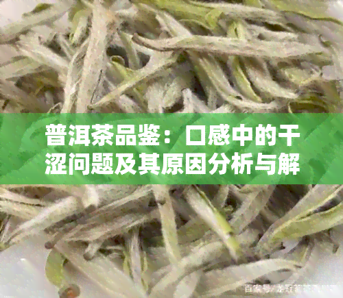 普洱茶品鉴：口感中的干涩问题及其原因分析与解决方法