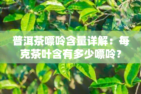 普洱茶嘌呤含量详解：每克茶叶含有多少嘌呤？