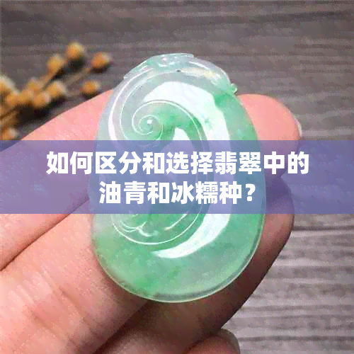 如何区分和选择翡翠中的油青和冰糯种？