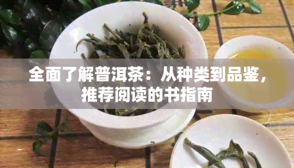 全面了解普洱茶：从种类到品鉴，推荐阅读的书指南