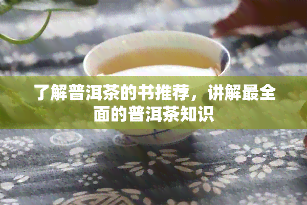 了解普洱茶的书推荐，讲解最全面的普洱茶知识