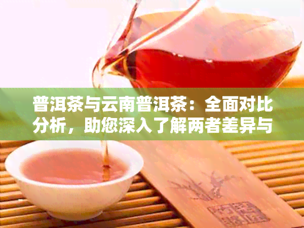 普洱茶与云南普洱茶：全面对比分析，助您深入了解两者差异与特点