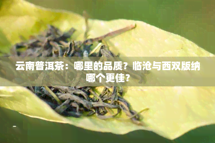 云南普洱茶：哪里的品质？临沧与西双版纳哪个更佳？