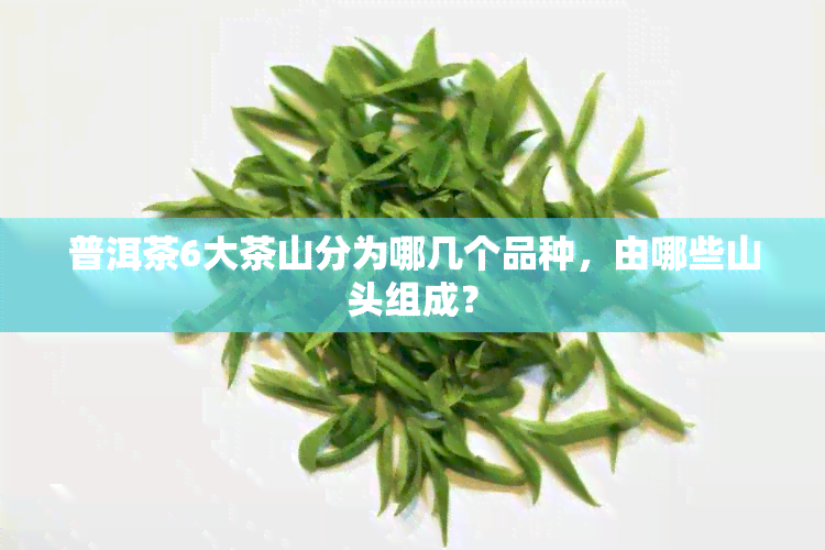 普洱茶6大茶山分为哪几个品种，由哪些山头组成？