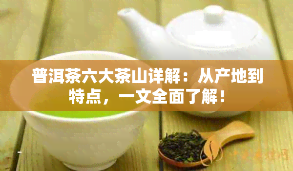 普洱茶六大茶山详解：从产地到特点，一文全面了解！