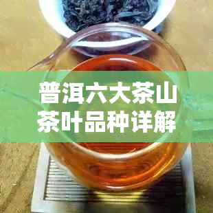 普洱六大茶山茶叶品种详解：各山产什么茶，一文解答所有疑问