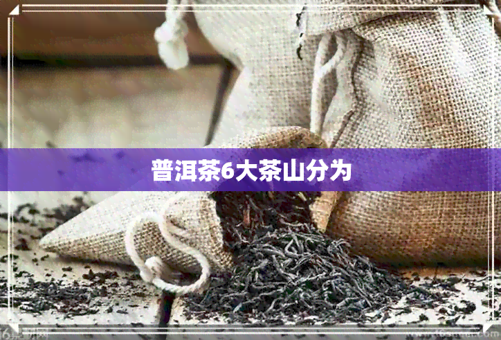 普洱茶6大茶山分为