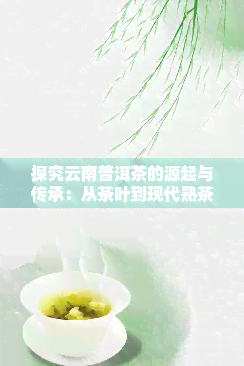 探究云南普洱茶的源起与传承：从茶叶到现代熟茶制作工艺