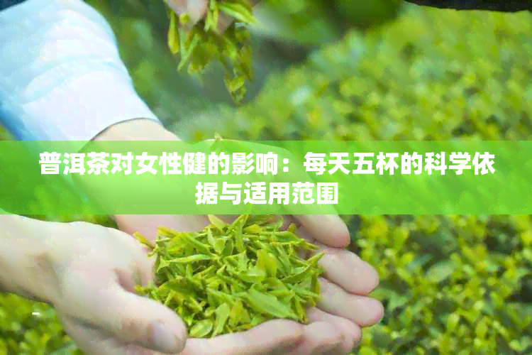 普洱茶对女性健的影响：每天五杯的科学依据与适用范围