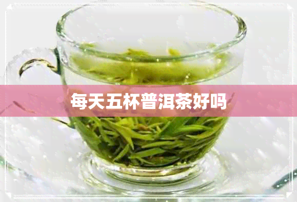 每天五杯普洱茶好吗