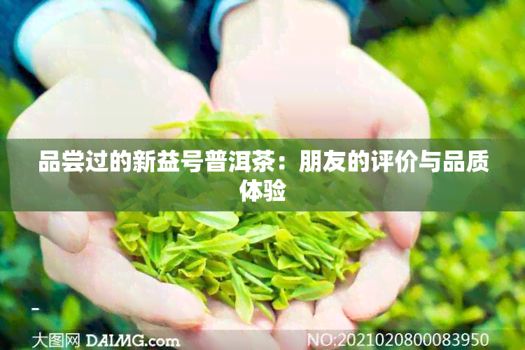 品尝过的新益号普洱茶：朋友的评价与品质体验