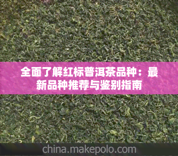 全面了解红标普洱茶品种：最新品种推荐与鉴别指南