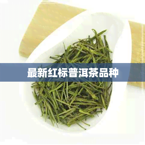 最新红标普洱茶品种