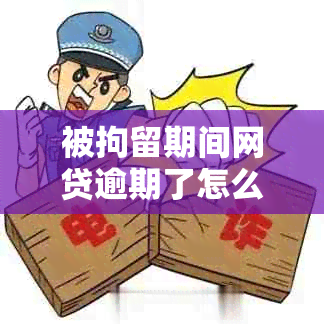 被拘留期间网贷逾期了怎么办理？